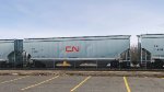 CN 113967